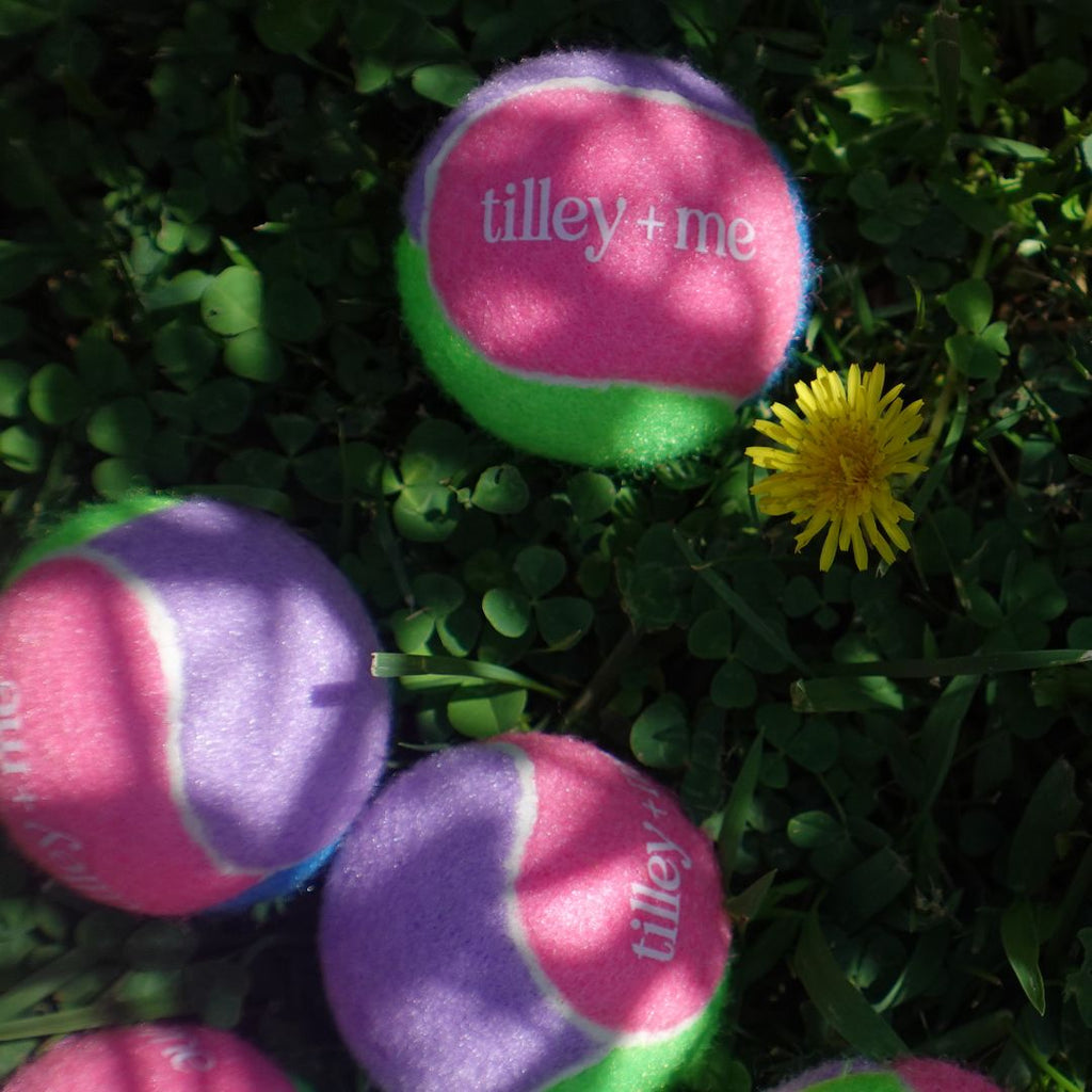 Tennis-Ball-Bundle-for-Dogs-Set-of-3-14