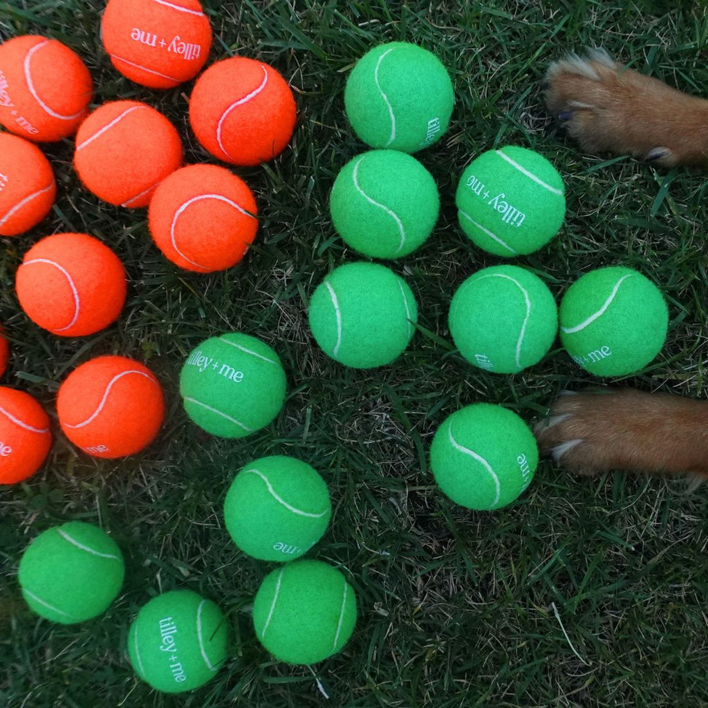 Tennis-Ball-Bundle-for-Dogs-Set-of-3-12