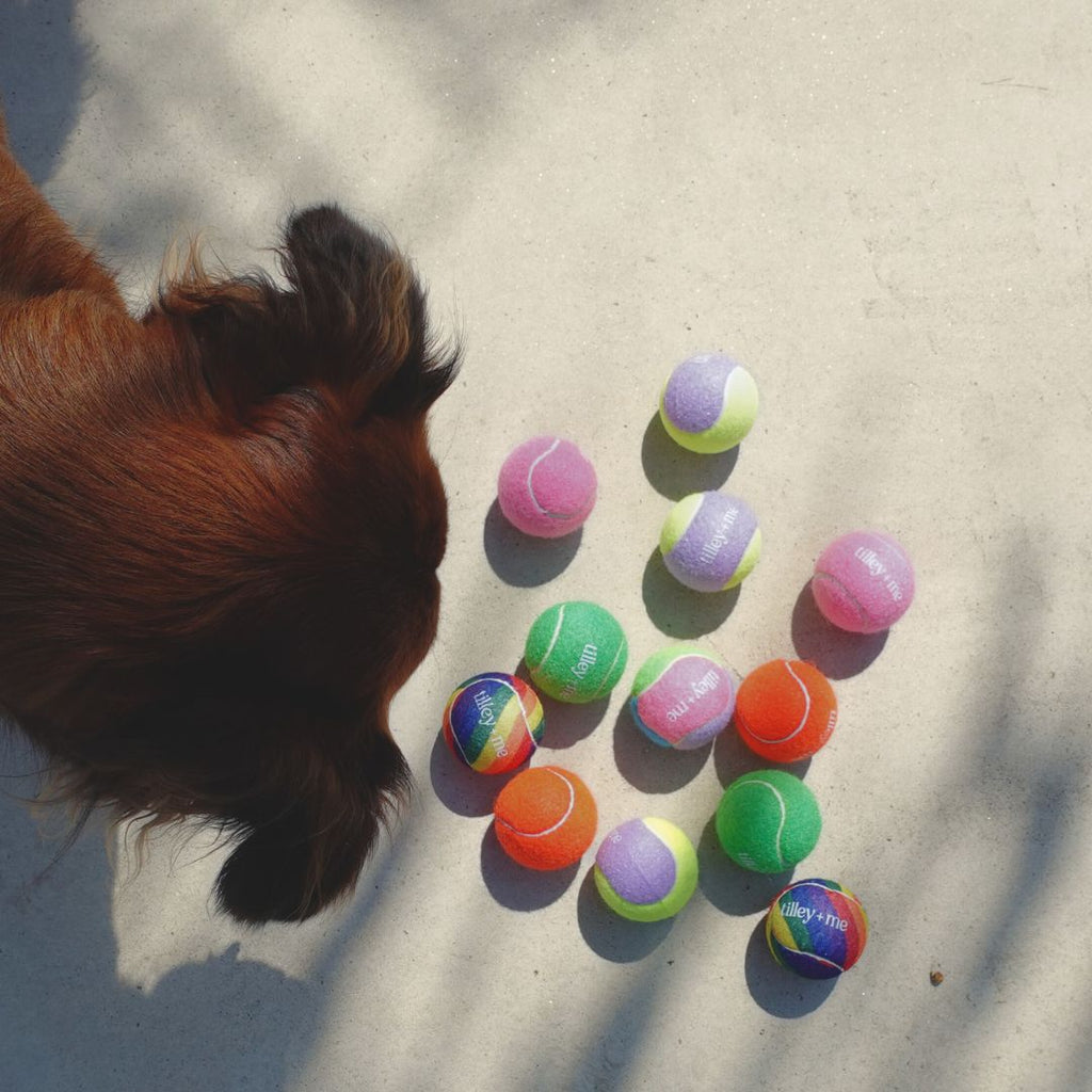 Tennis-Ball-Bundle-for-Dogs-Set-of-3-15