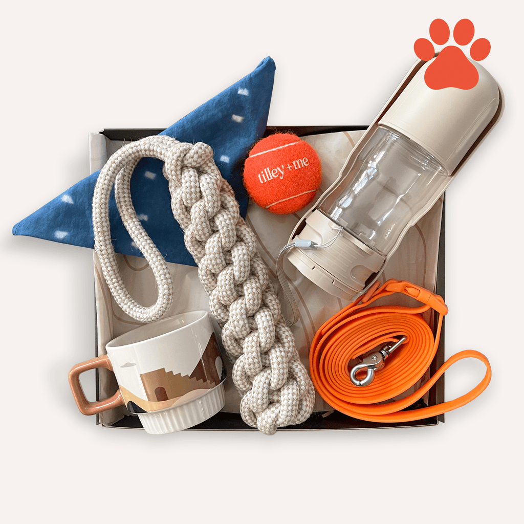 Pet Collection Box Gift Boxes for Dog PPL