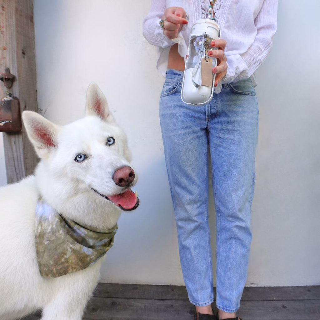 Match-Your-Dog-bundle-4