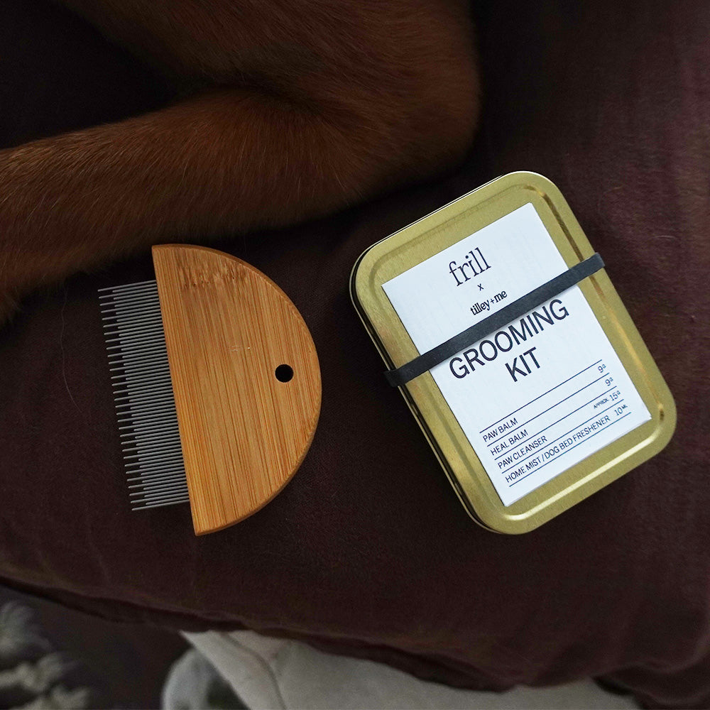 Bamboo-Flea-and-Detangler-Comb-for-Pets-4
