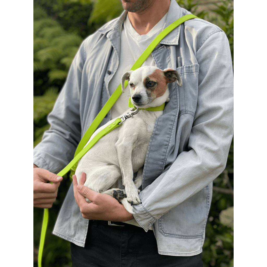 Biothane-Waterproof-Adjustable-Dog-Collar-7