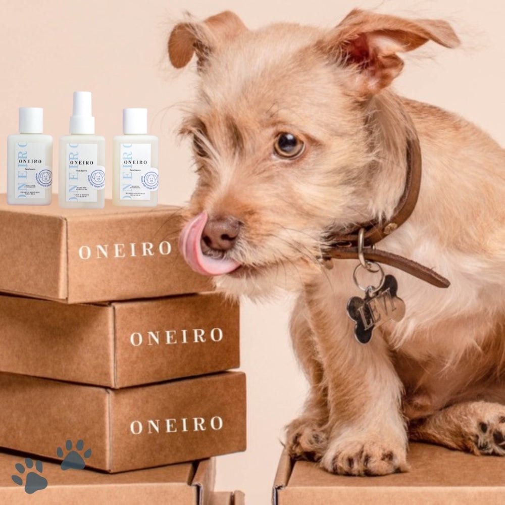 Oneiro-Dog-Grooming-Bundle-Travel-Size-3