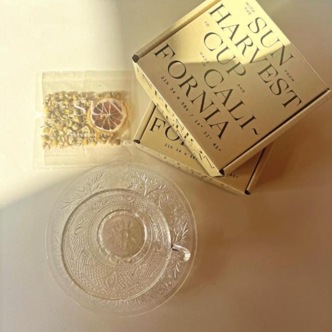 Cozy-Craftsman-bundle-4