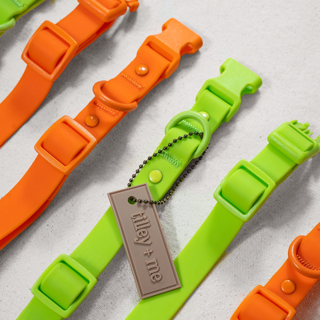 pvc-biothane-dog-waterproof-collar-leash-repeat