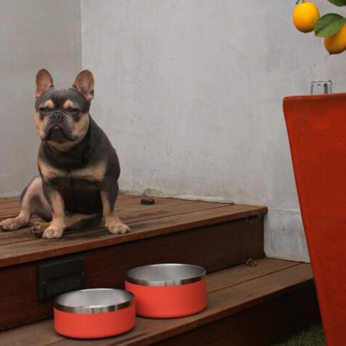 Stainless-Steel-Pet-Bowl-Bundle-11