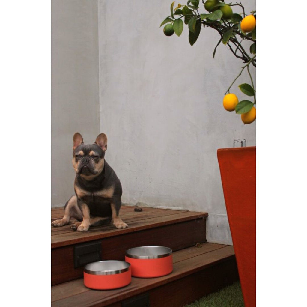 64-32-oz-Stainless-Steel-Dog-Food-or-Water-Bowl-Yeti-Style-Dishwasher-Safe-Tilley-Trekk-for-all-aesthetic-orange-1