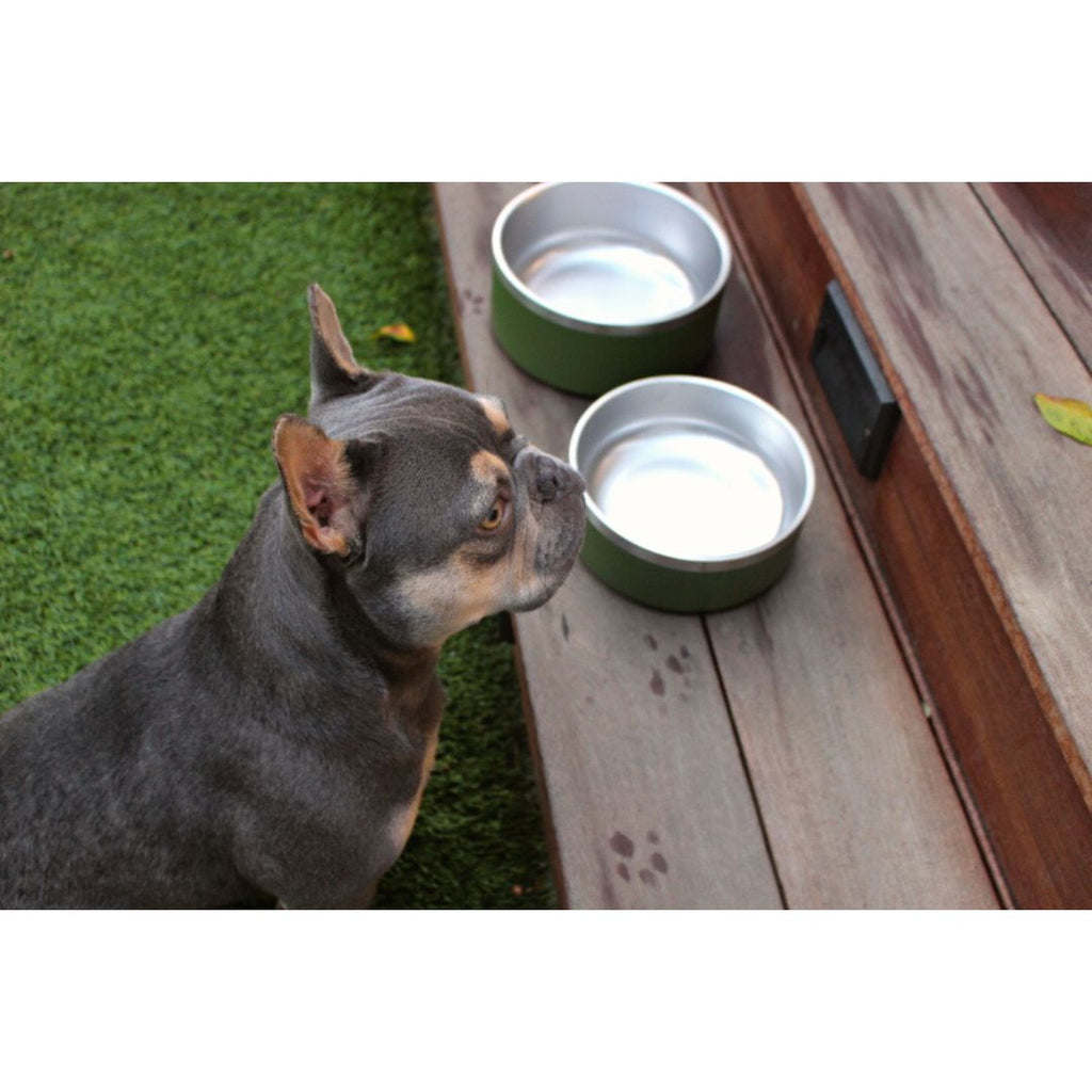 32-oz-Stainless-Steel-Dog-Food-or-Water-Bowl-Yeti-Style-Dishwasher-Safe-Tilley-Trekk-for-all-olive-4