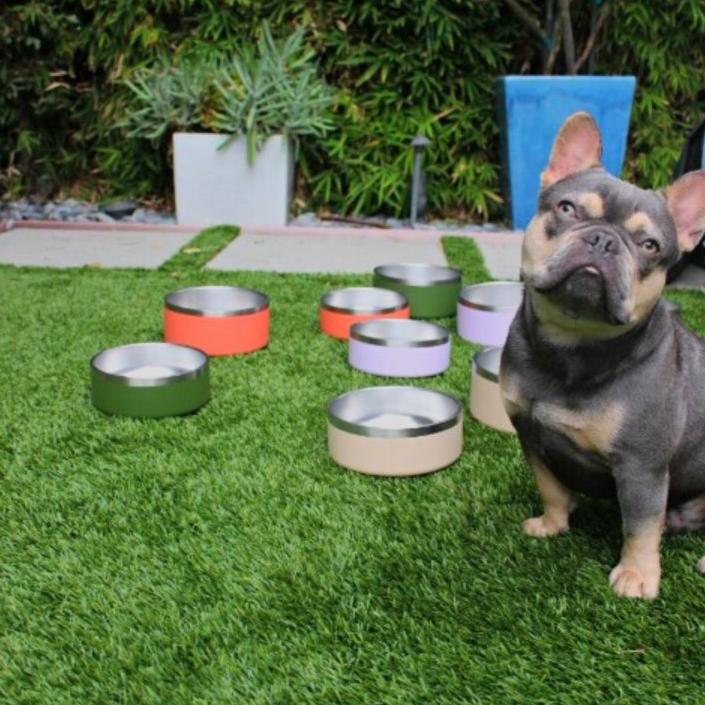 Stainless-Steel-Pet-Bowl-Bundle-22