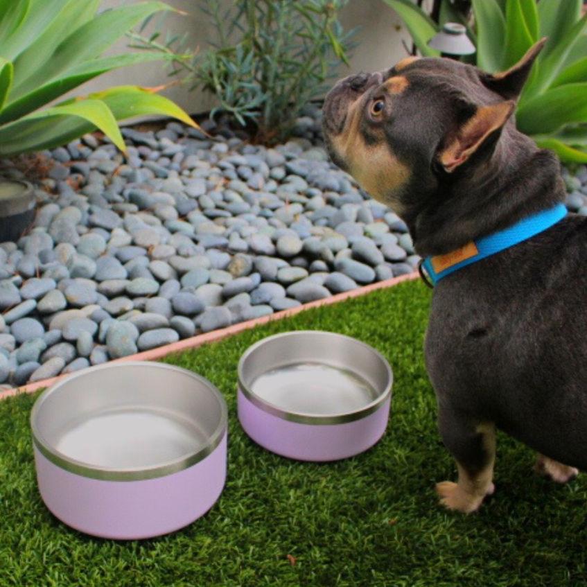 Stainless-Steel-Pet-Bowl-Bundle-20