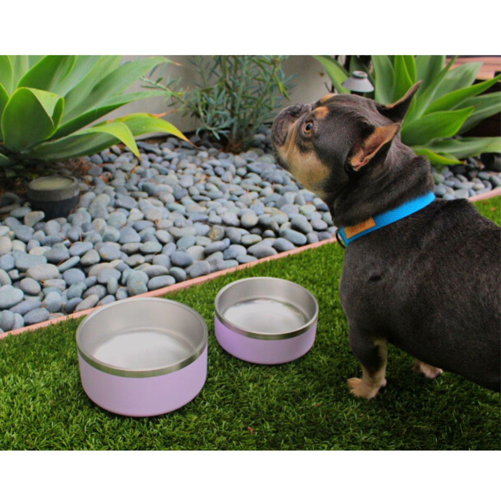 64-32-oz-Stainless-Steel-Dog-Food-or-Water-Bowl-Yeti-Style-Dishwasher-Safe-Tilley-Trekk-for-all-aesthetic-lilac