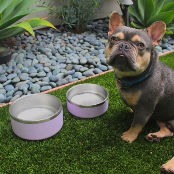 32-oz-Stainless-Steel-Dog-Food-or-Water-Bowl-Yeti-Style-Dishwasher-Safe-Tilley-Trekk-for-all-lilac